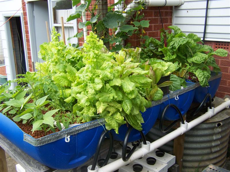 100_1989 (Medium).JPG