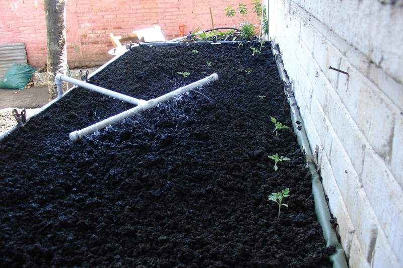 GB 1 planted and wet.jpg