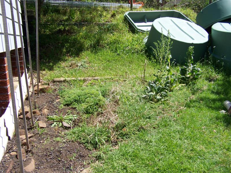 100_3650 (Medium).JPG