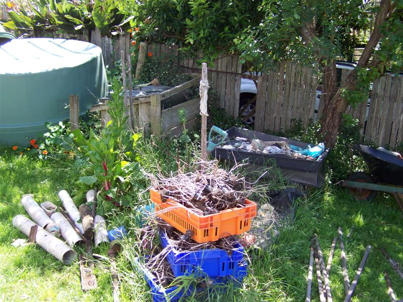 100_3651 (Medium).JPG