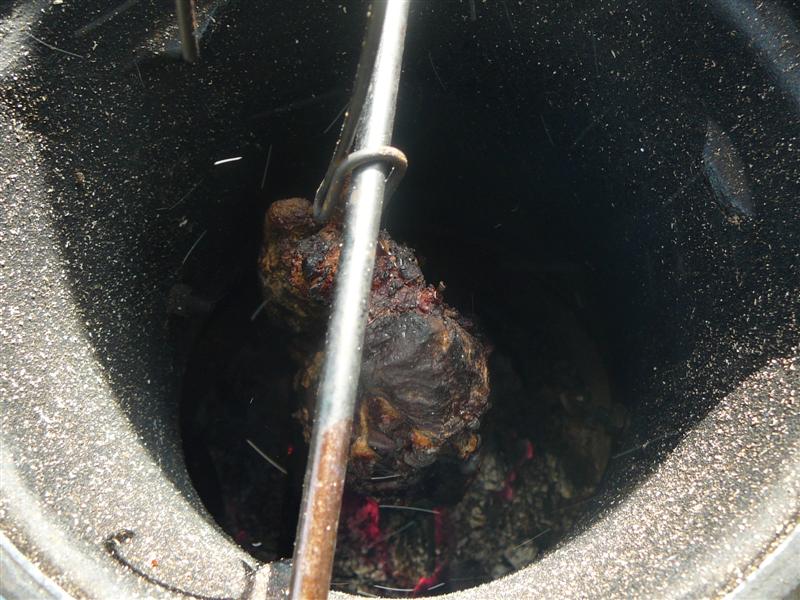 MTO 007 (Medium).jpg