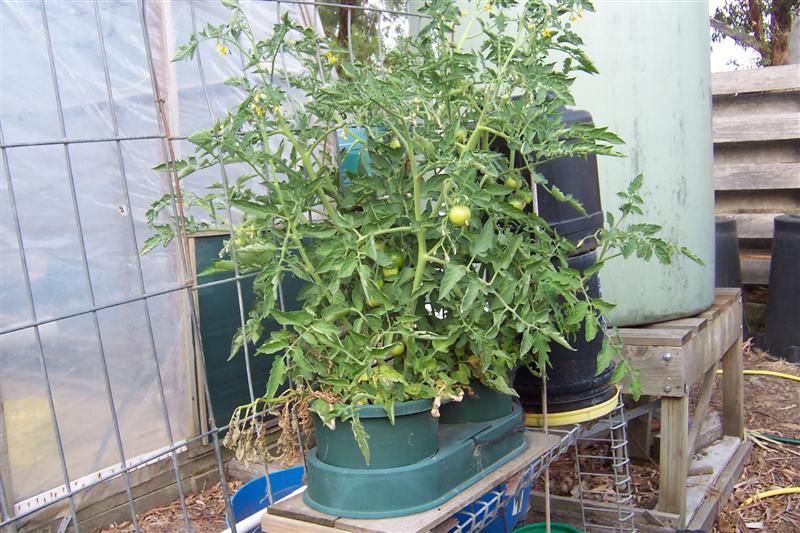 Same pic different angle.JPG