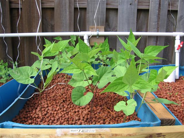 IMG_8865 (Small).JPG