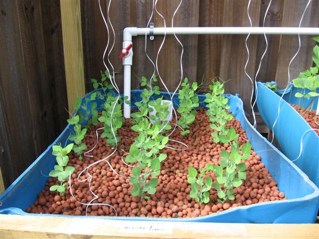 IMG_8866 (Small).JPG