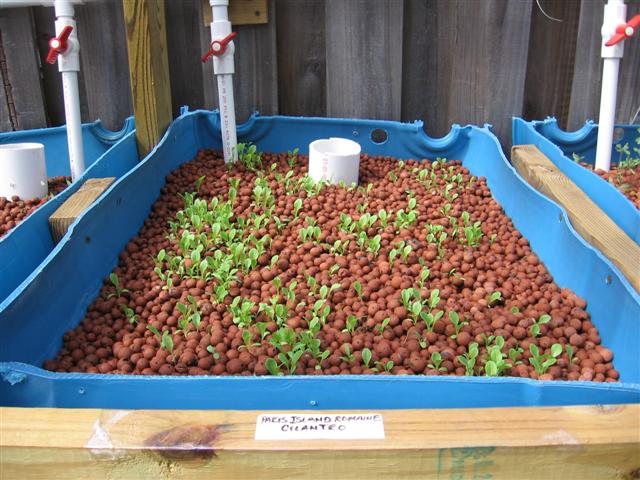 IMG_8867 (Small).JPG