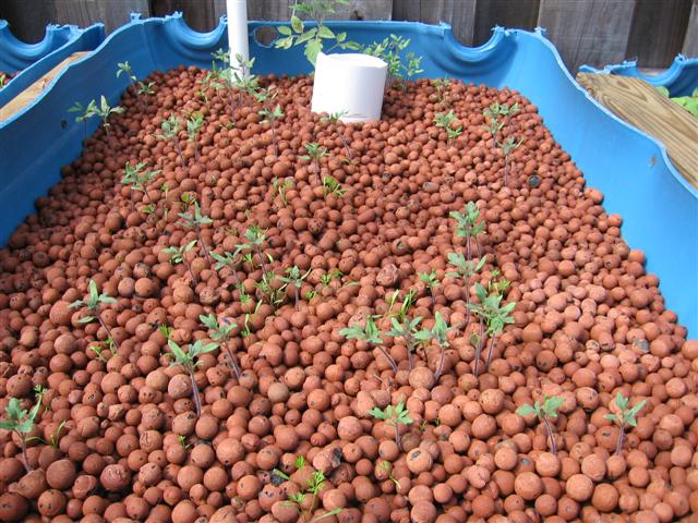 IMG_8868 (Small).JPG