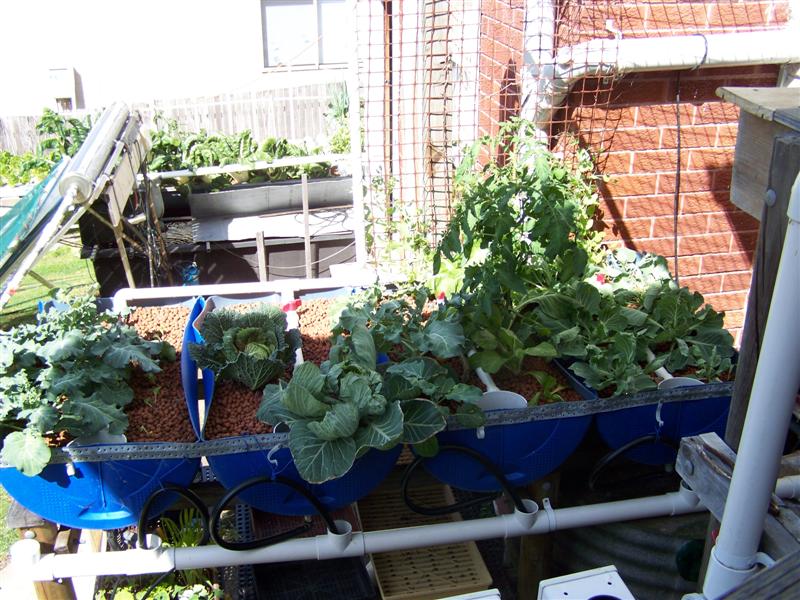 100_3494 (Medium).JPG