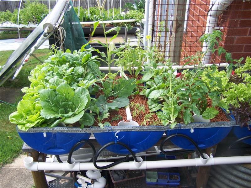 100_3146 (Medium).JPG