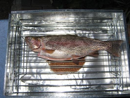 smoking fish ready.jpg