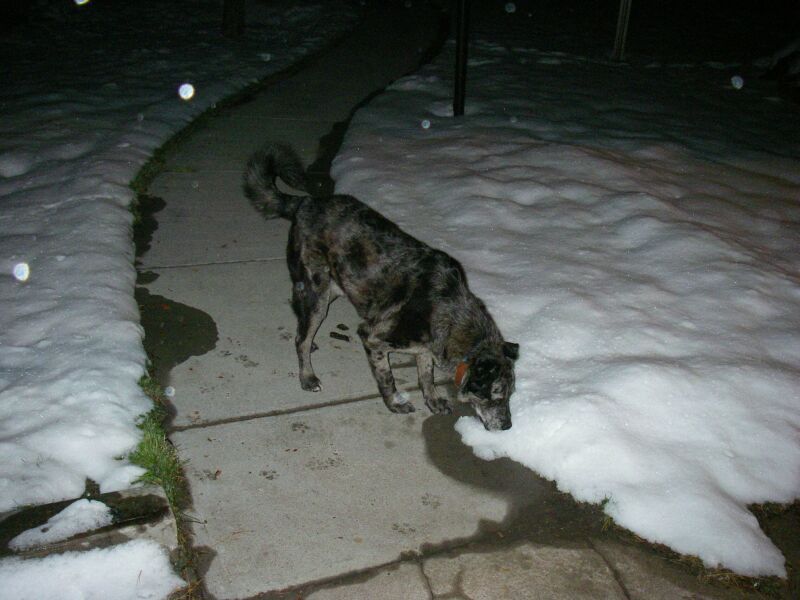 what is this stuff.jpg