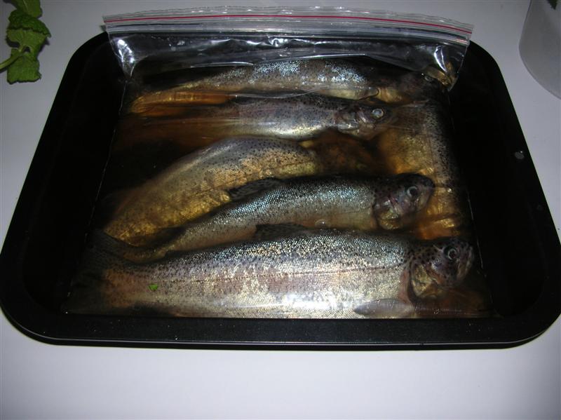 DSCN1601 (Medium).JPG