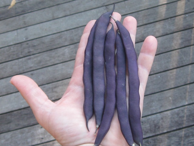 these were yummy....jpg