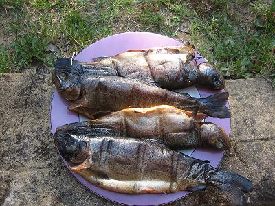 trout smoked.jpg