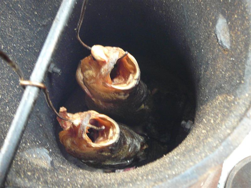 MTO 007 (Medium).jpg