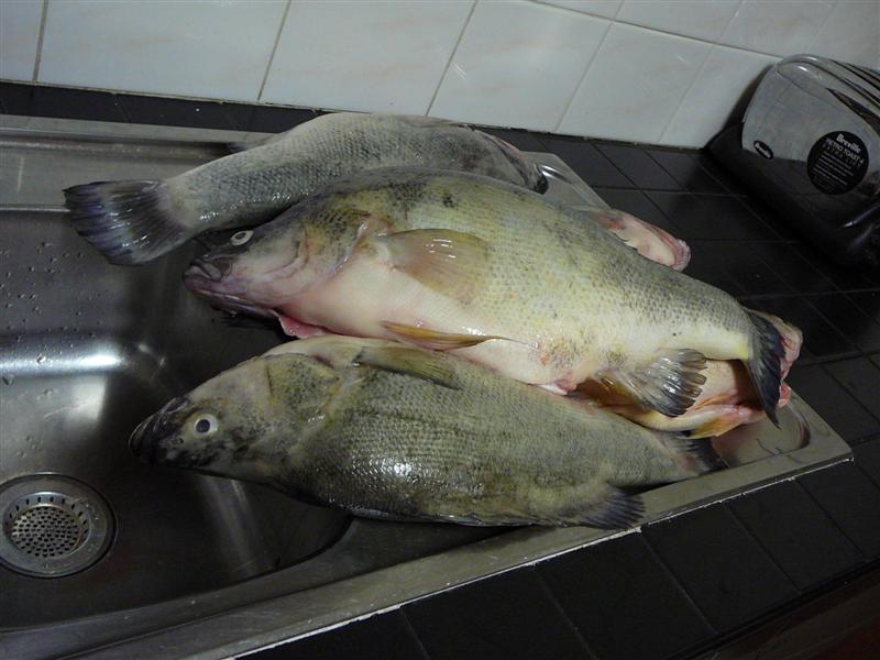 MTO 006 (Medium).jpg