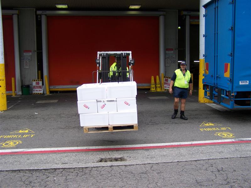 100_3719 (Medium).JPG