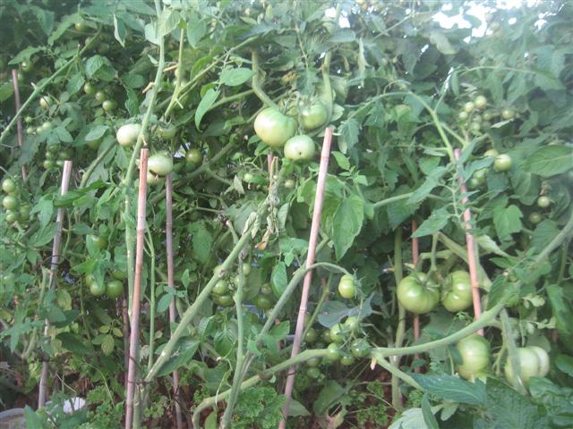 4 september next project 004 (Small).jpg