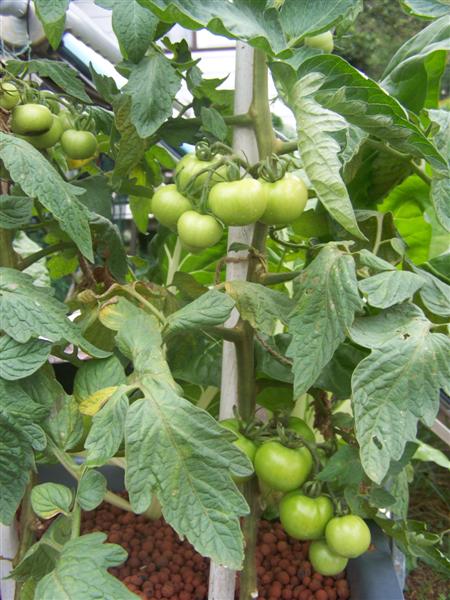 100_2694 (Medium).JPG