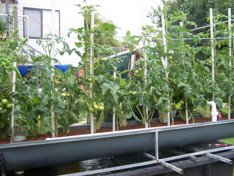 100_2689 (Medium).JPG