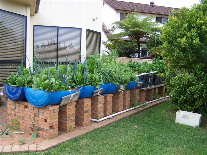 100_3728 (Medium).JPG