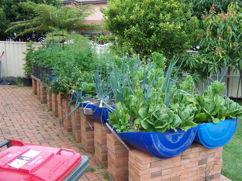 100_3729 (Medium).JPG