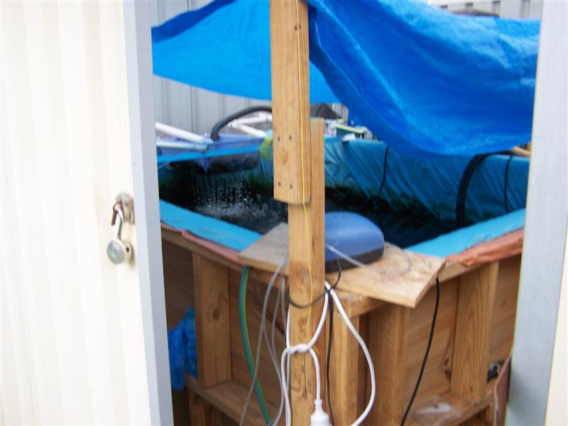 100_3732 (Medium).JPG