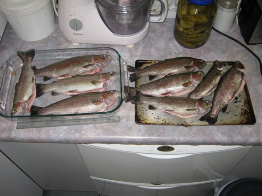 fishing expedition.jpg