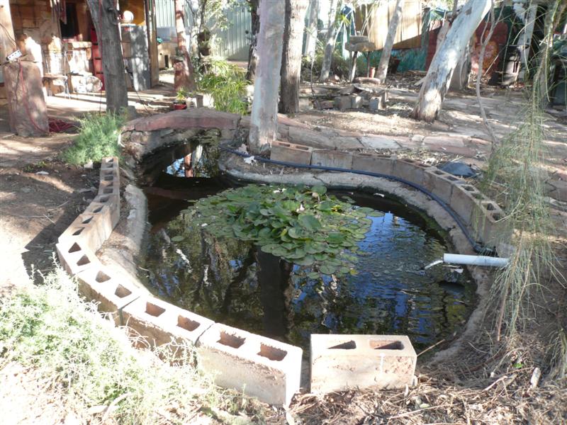 AP progress 012 (Medium).jpg