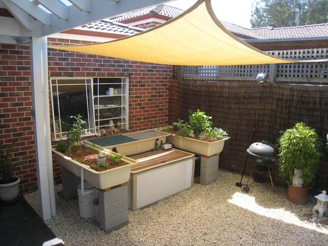 AP System a 10_11_09.jpg