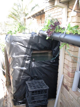 AP the system nov 09.jpg