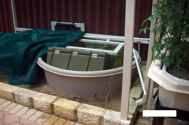 Barra climatising 12 nov 09.JPG