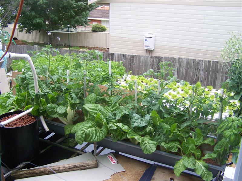 100_2603 (Medium).JPG