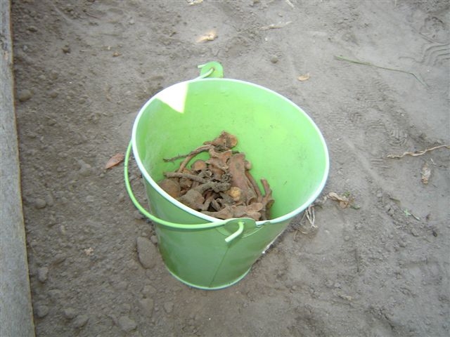 summer fall 09 457a.JPG