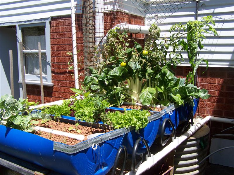 100_3792 (Medium).JPG