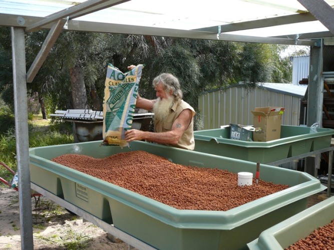 Aquaponics  2009 001.jpg