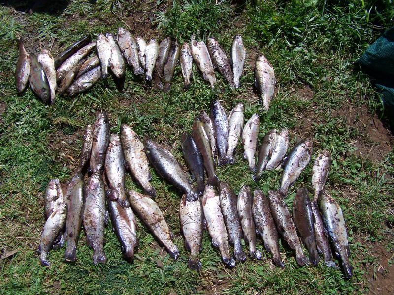 100_3826 (Medium).JPG