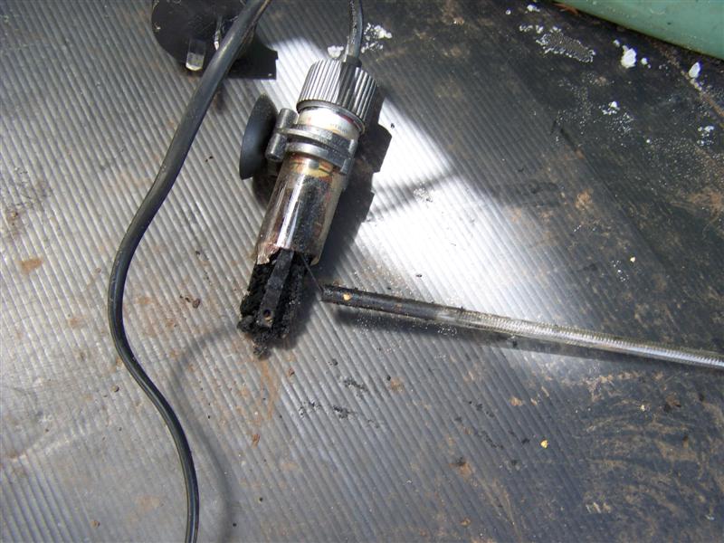 100_3828 (Medium).JPG