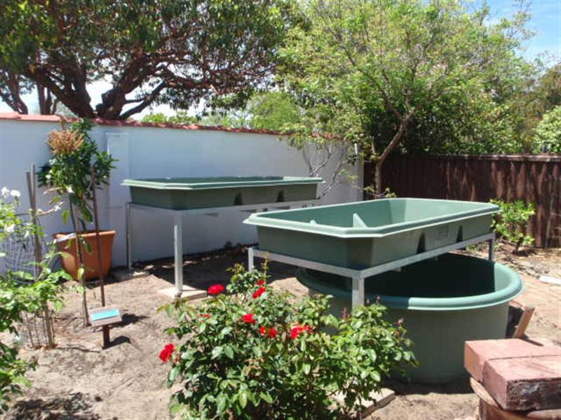 PB090187 (Medium).JPG