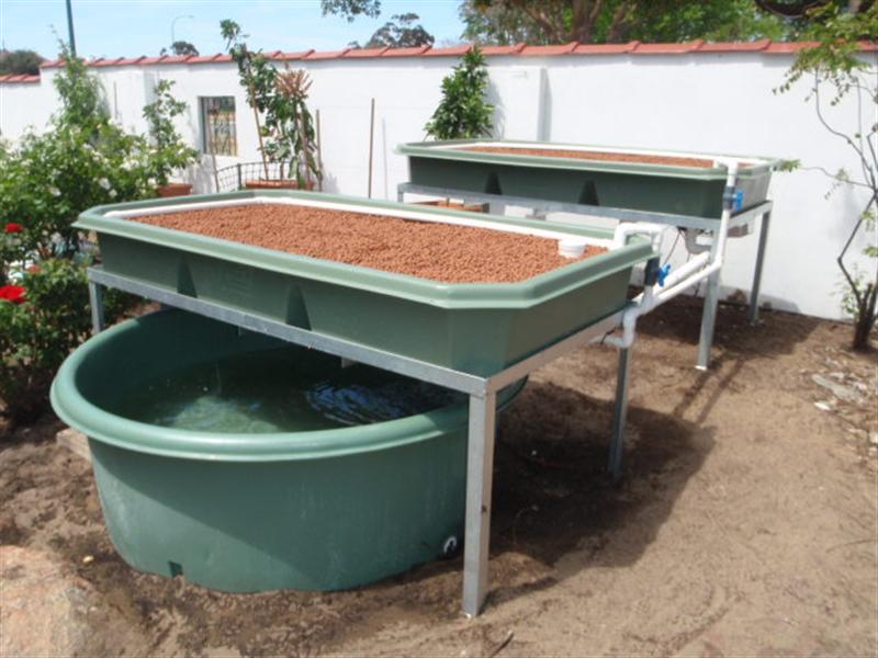 PB090200 (Medium).JPG