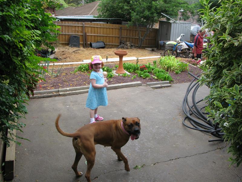 IMG_1451 (Medium).JPG