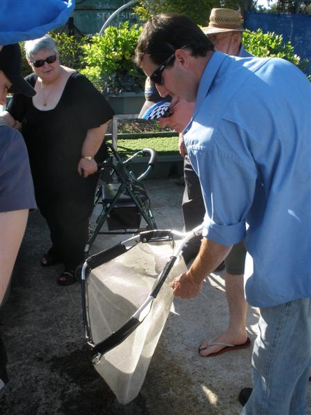 PA170120 (Medium) (2).JPG