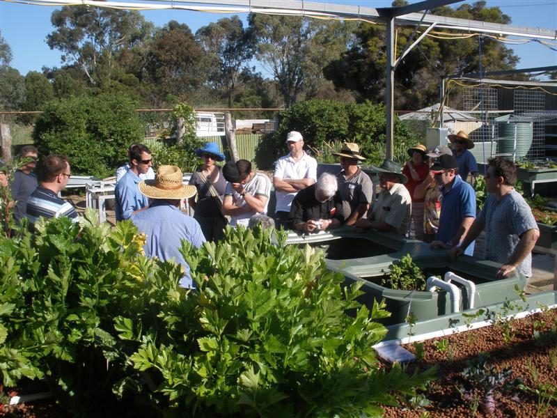 PA170123 (Medium).JPG