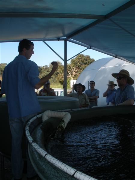 PA170124 (Medium).JPG