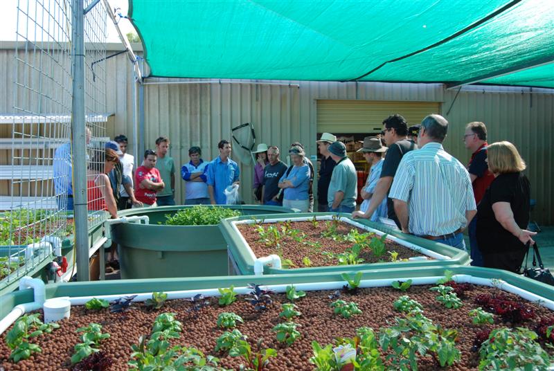 DSC_0702 (Medium).JPG