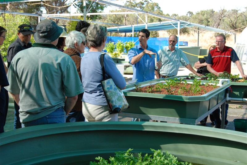 DSC_0706 (Medium).JPG