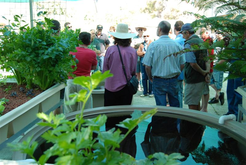 DSC_0709 (Medium).JPG