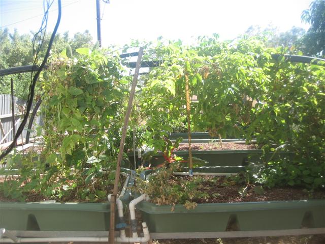 system up date 02.12.09 006 (Small).jpg