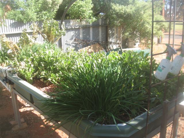 system up date 02.12.09 009 (Small).jpg