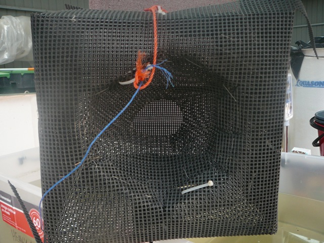 system pics 3.112.09 014.jpg