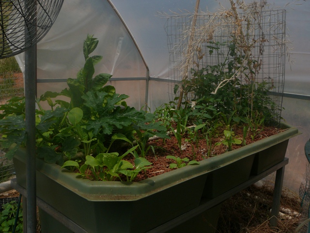 system pics 3.112.09 002.jpg